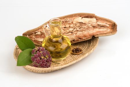 Масло баобаба